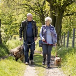 Special Special zum "Welthundetag": MIT HERZ UND HUND