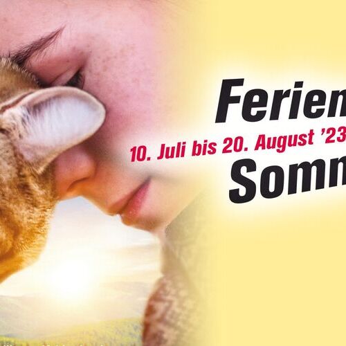 Ferien Kino Sommer