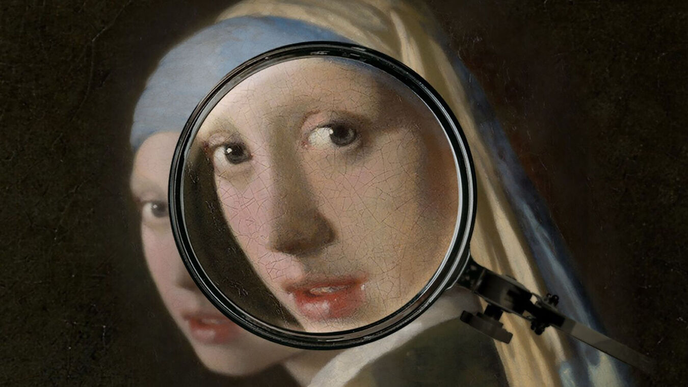 Vermeer - Reise ins Licht