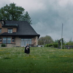 Special Premiere: KALTER HUND