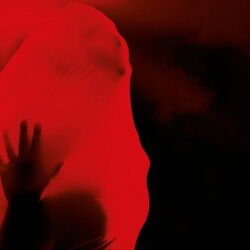Special „Sunday Séance": SUSPIRIA